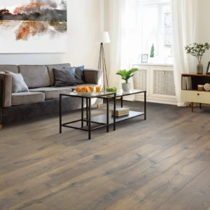 Living room Laminate Flooring | America's Carpet Outlet