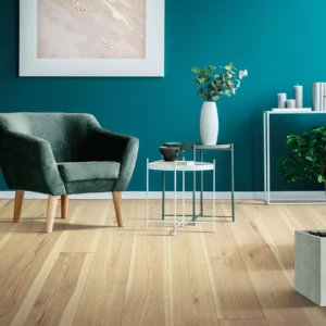 Laminate Flooring | America's Carpet Outlet