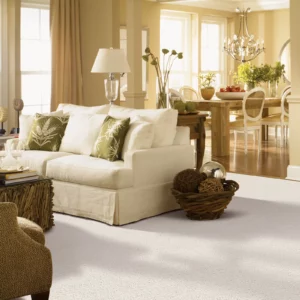 Carpet Flooring | America's Carpet Outlet