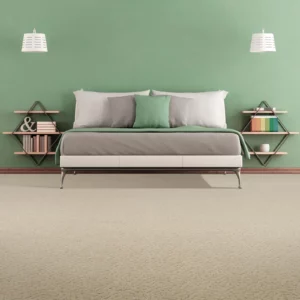 Carpet Flooring | America's Carpet Outlet