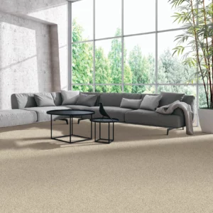 Carpet Flooring | America's Carpet Outlet