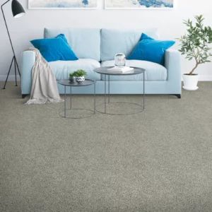 Carpet Flooring | America's Carpet Outlet