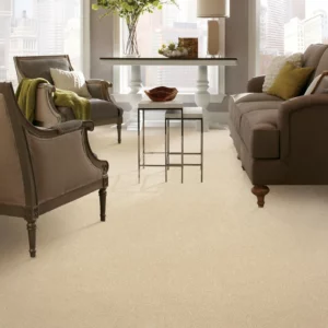 Carpet Flooring | America's Carpet Outlet