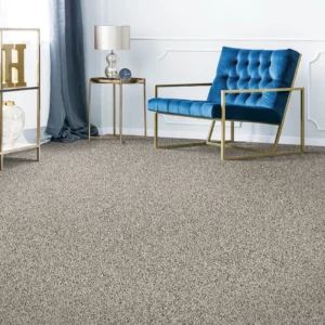 Carpet Flooring | America's Carpet Outlet