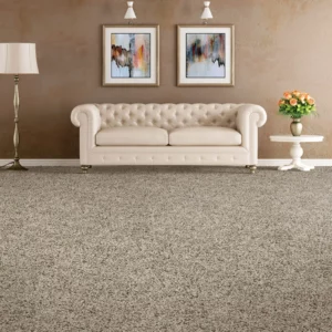 Carpet Flooring | America's Carpet Outlet