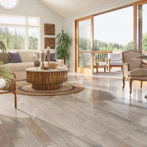 Hardwood Flooring | America's Carpet Outlet