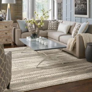 Area Rug | America's Carpet Outlet